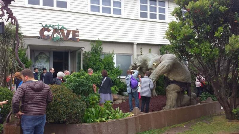 Wellington: Private Day Tour with Lunch - Key Points