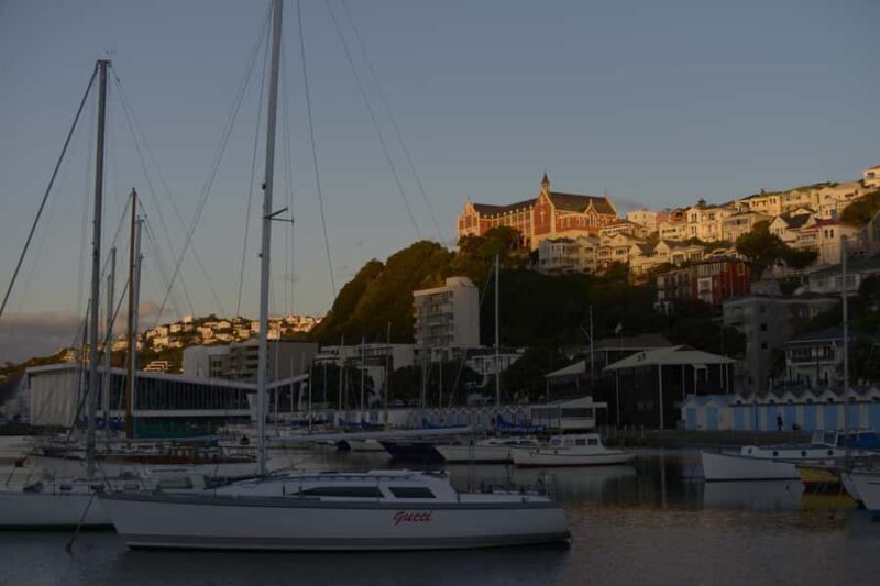 Wellington: Private Day Tour with Lunch - A Deep Dive into the Wellington Private Day Tour