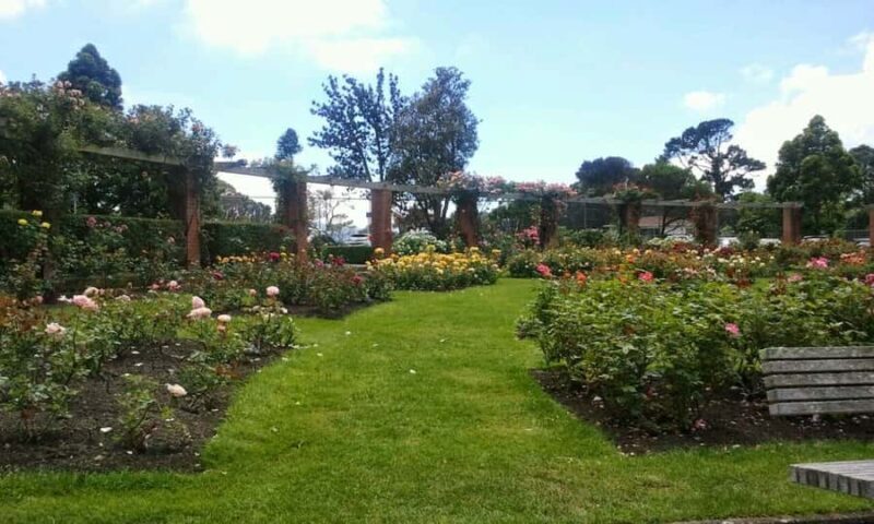 Wellington: Private Day Tour with Lunch - The Value of This Tour