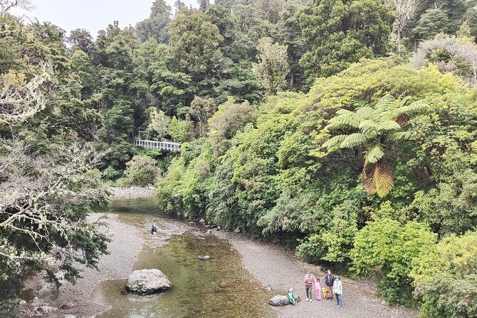 Wellington Region Full Day Private Tour: Get out of the City - How Does the Pricing Stack Up?