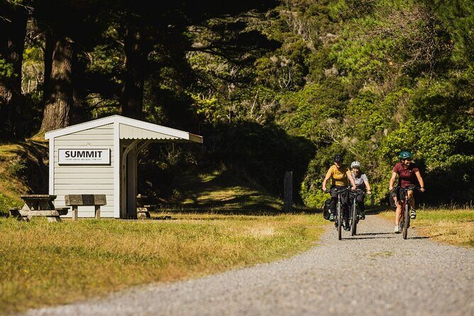 Wellington Remutaka Rail Trail eBike Cycle Tour - The Price and Overall Value