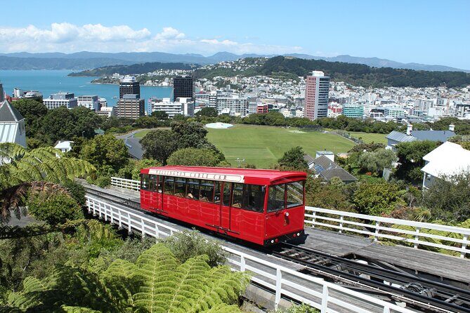 Wellington Scenic Full Day Tour - Key Points