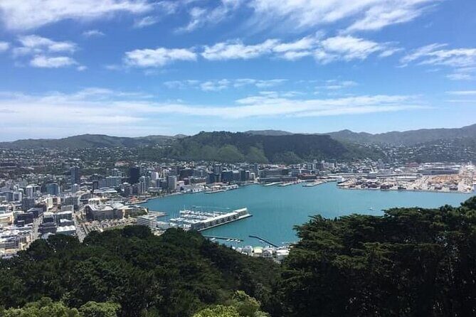 Wellington Scenic Full Day Tour - Why This Tour Works