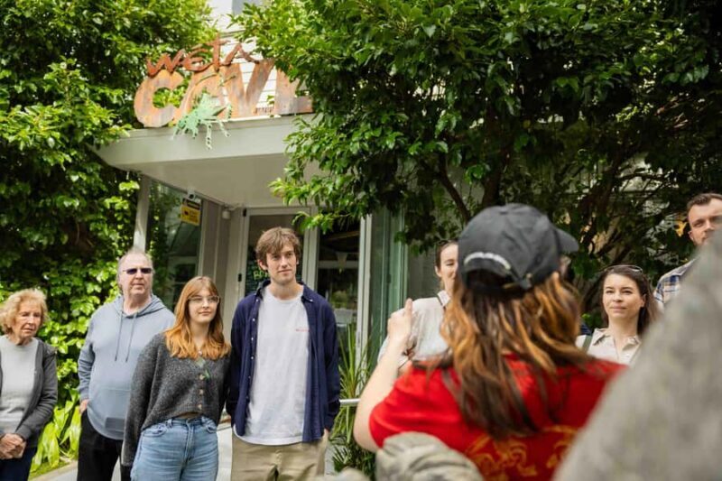 Wellington: Wt Workshop Guided Tour Ticket - Who Is This Tour Best For?