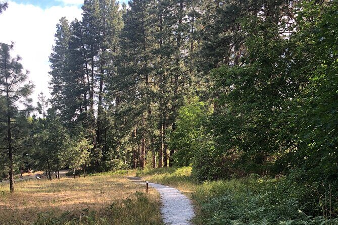 Wenatchee River Institute: A Self-Guided Tour with the Artists - Who Will Love This Tour?