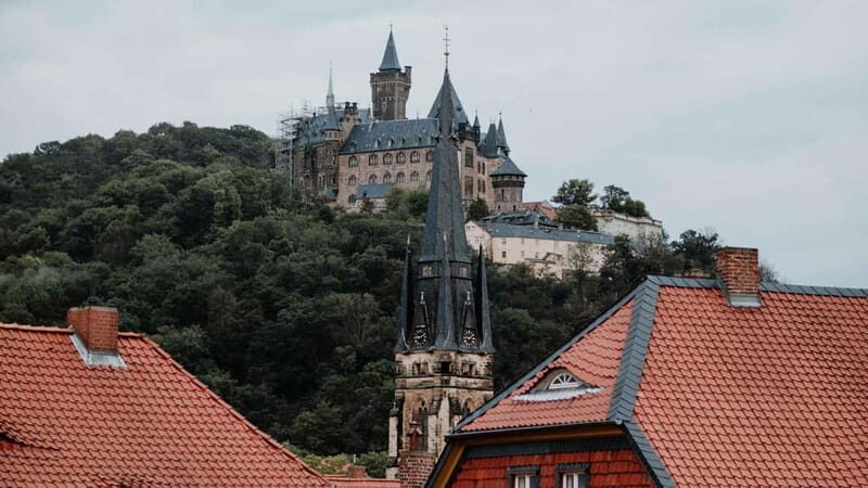 Wernigerode: Daily city tour "1000 steps around the town hall" - Who Should Consider This Tour?