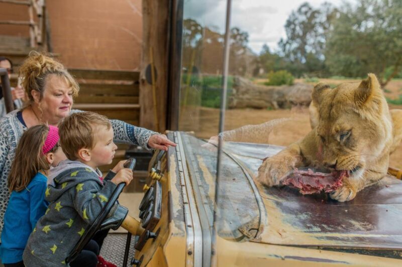 Werribee Open Range Zoo: Entry Ticket - Final Thoughts