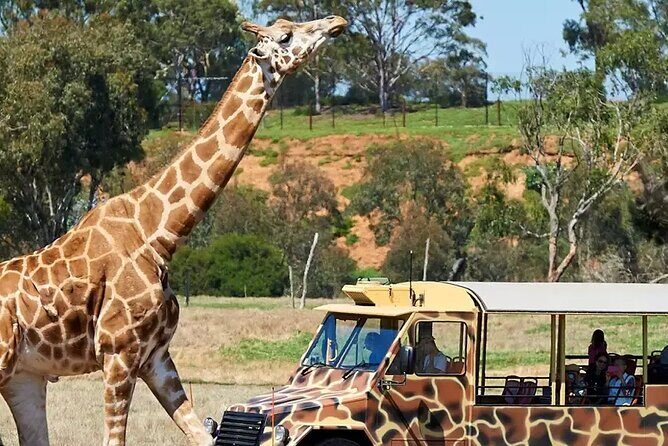 Werribee Zoo & Werribee Mansion Tour - Key Points