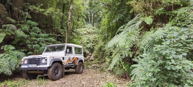 West: 4x4 Tour | Seixal Beach | Porto Moniz Natural Pools | - Final Thoughts