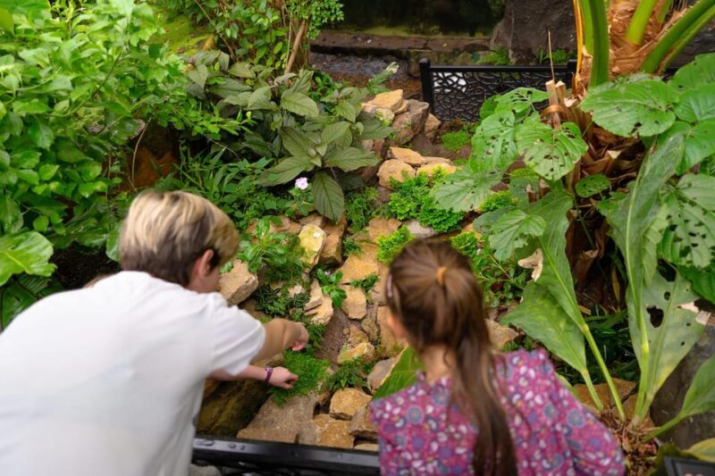 West Berkshire,UK: The Living Rainforest Centre Entry Ticket - The Glasshouses and Their Inhabitants
