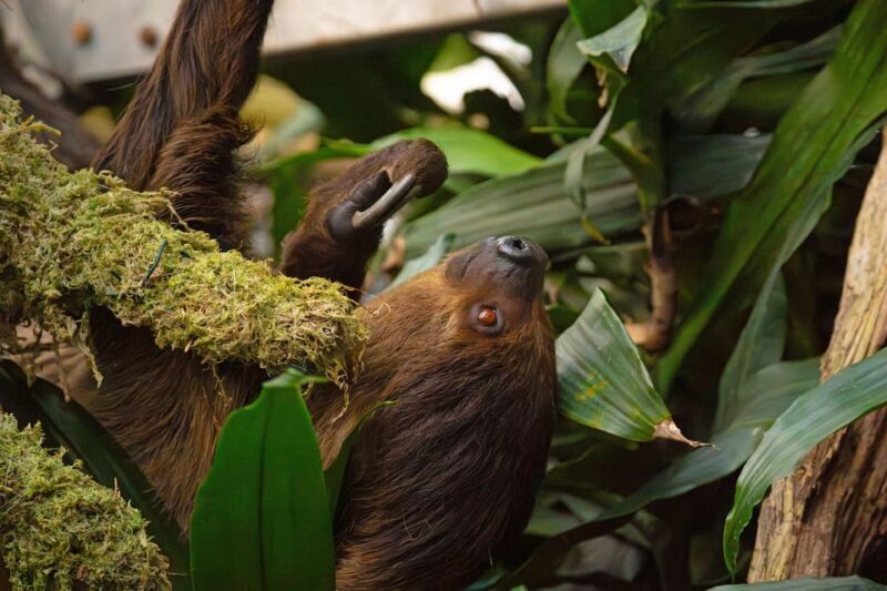 West Berkshire,UK: The Living Rainforest Centre Entry Ticket - Who Should Consider Visiting?