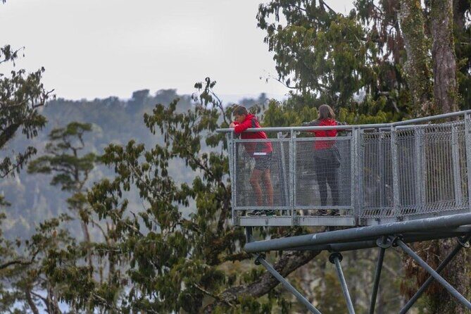 West Coast Full Day Tour - The Value for Money