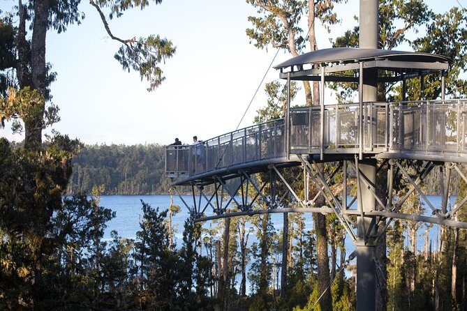 West Coast Treetop Walk - Final Thoughts
