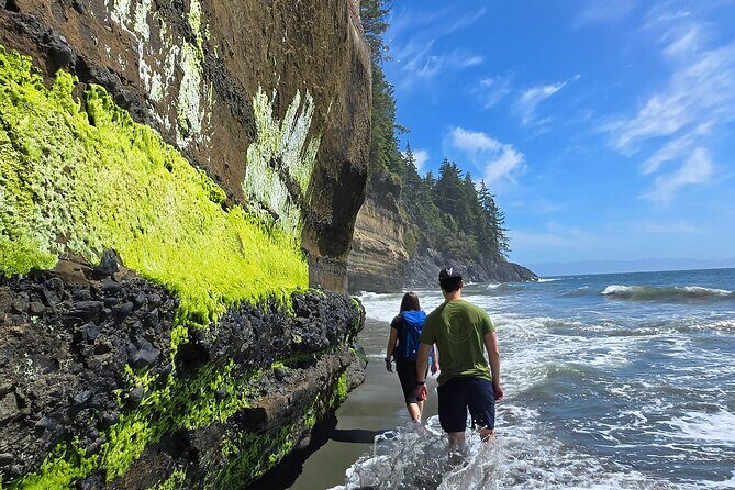 West Coast Wildlife Rainforest Waterfall and Beaches - Key Points