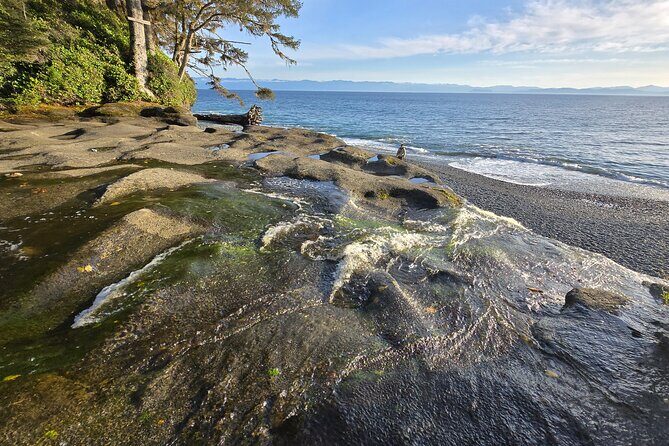 West Coast Wildlife Rainforest Waterfall and Beaches - Practical Tips