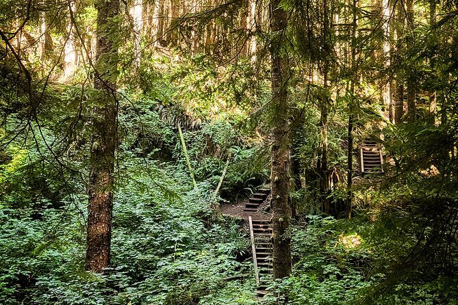 West Coast Wildlife Rainforest Waterfall and Beaches - Who Is This Tour Best For?