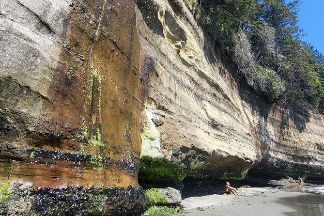 West Coast Wildlife Rainforest Waterfall and Beaches - Final Thoughts