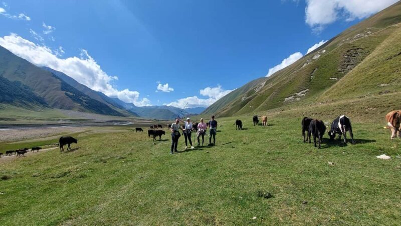 West Georgia Adventure: Guide, Canyons, Caves Tour - An In-Depth Look at the Tour