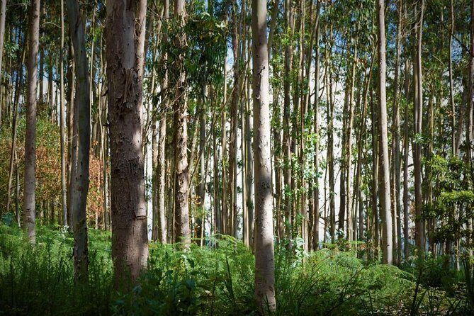 West is the Best - Who Will Love This Tour?