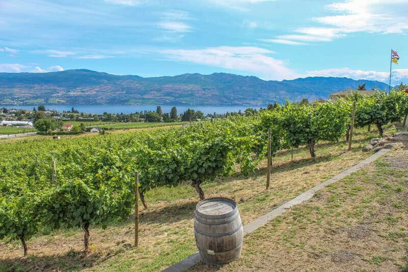 West Kelowna: Afternoon Sightseeing and Wine Tour - Key Points