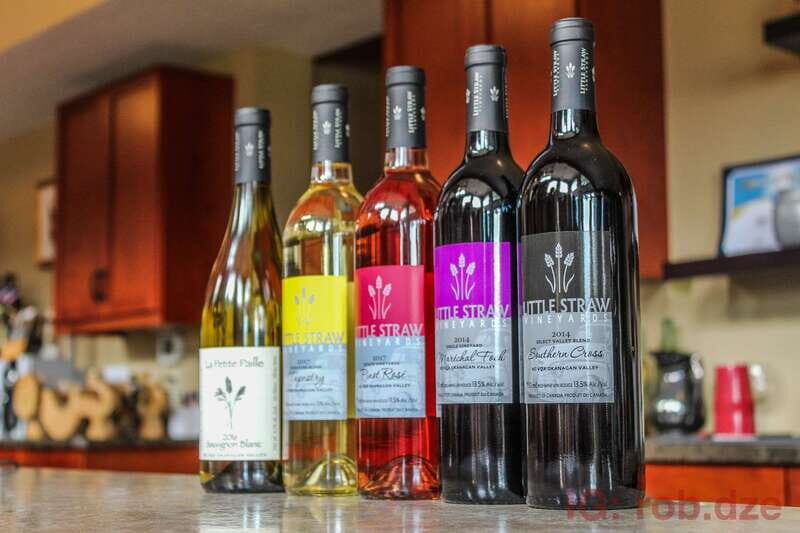 West Kelowna: Afternoon Sightseeing and Wine Tour - Final Thoughts