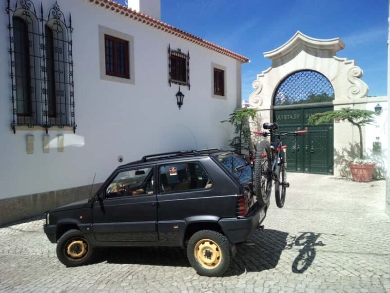 West Lisbon Grand Tour: Sintra-Cascais-Mafra Nat-Park-Fun - Who Should Consider This Tour?