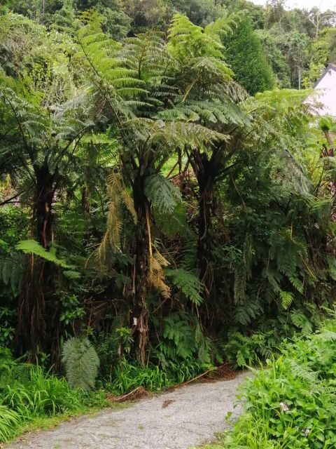 West Madeira:, Laurel Forest, Waterfall, Rock Pools, Walk - FAQs