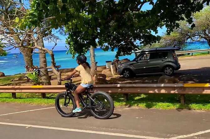 West Maui eBike Island Explorer Full-Day Rental - Who Would Enjoy This Tour?