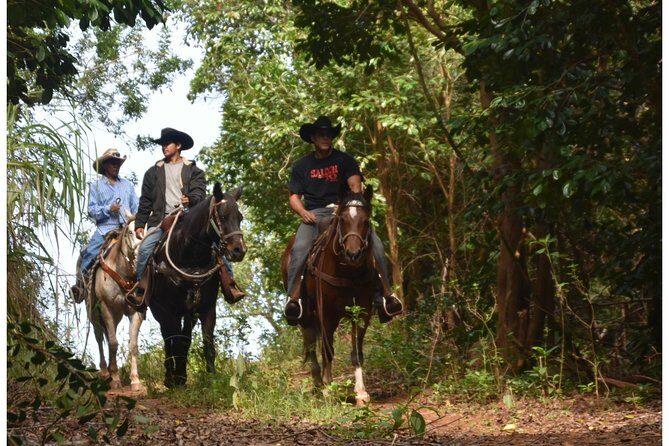 West Maui Mountain Waterfall and Ocean Tour via Horseback - What is this tour all about?