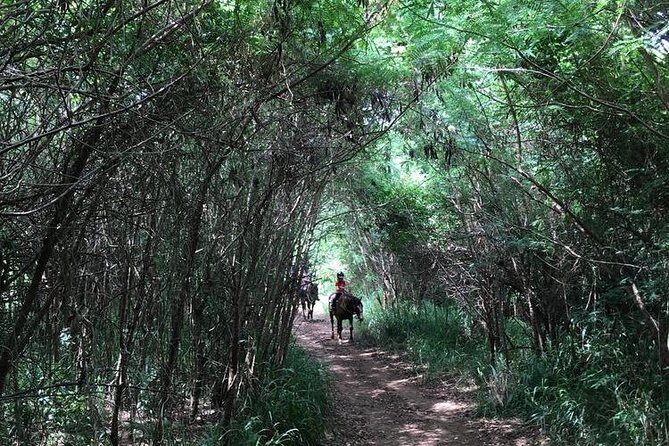 West Maui Mountain Waterfall and Ocean Tour via Horseback - The guides and group size