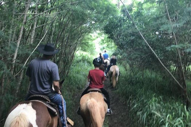 West Maui Mountain Waterfall and Ocean Tour via Horseback - The scenery and views