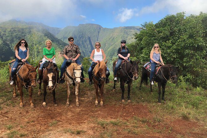 West Maui Mountain Waterfall and Ocean Tour via Horseback - Practical considerations: cost, physicality, and safety