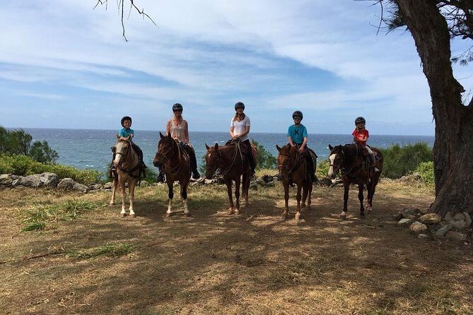 West Maui Mountain Waterfall and Ocean Tour via Horseback - Who is this tour best suited for?