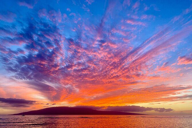 West Maui Sunset Whale Watch - Final Thoughts