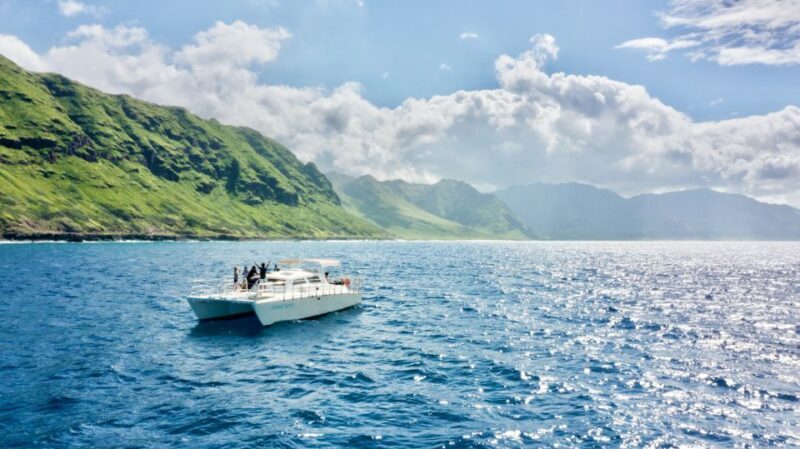 West O'ahu: Swim with Dolphins Catamaran Cruise - An In-Depth Look at the Experience