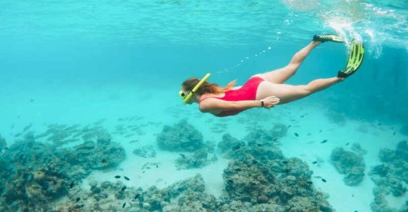 West Oahu: Turtles, Dolphins, and Snorkeling Tour with Lunch - The Details That Matter