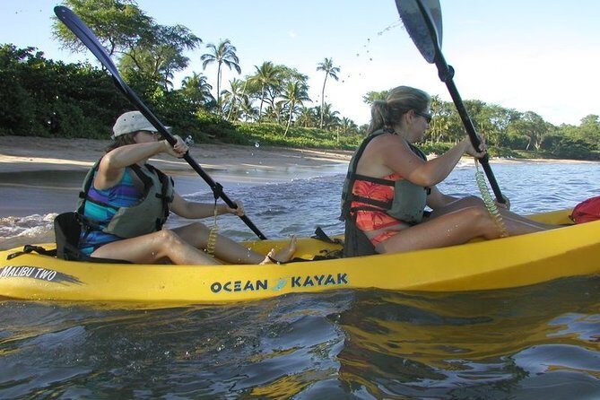 West Side Discovery Kayak & Snorkel Tour - Why This Tour Might Be Right for You