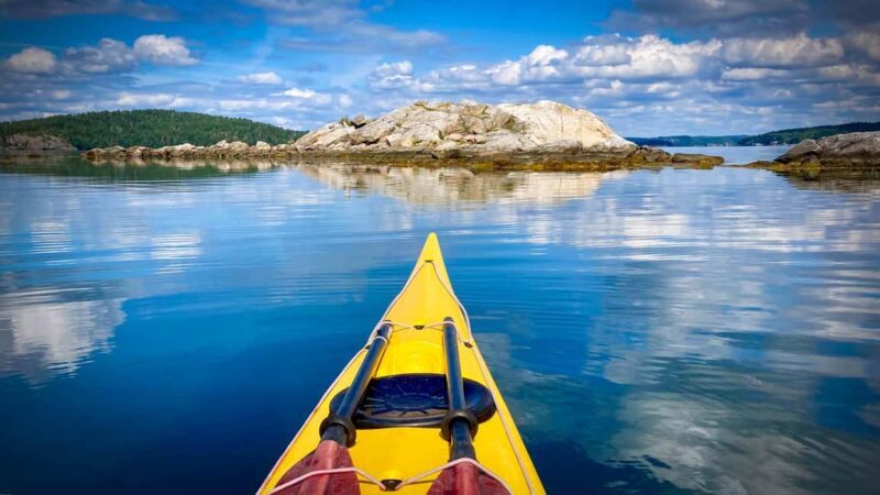 West Sweden: Paddle with seals - Who is this tour perfect for?