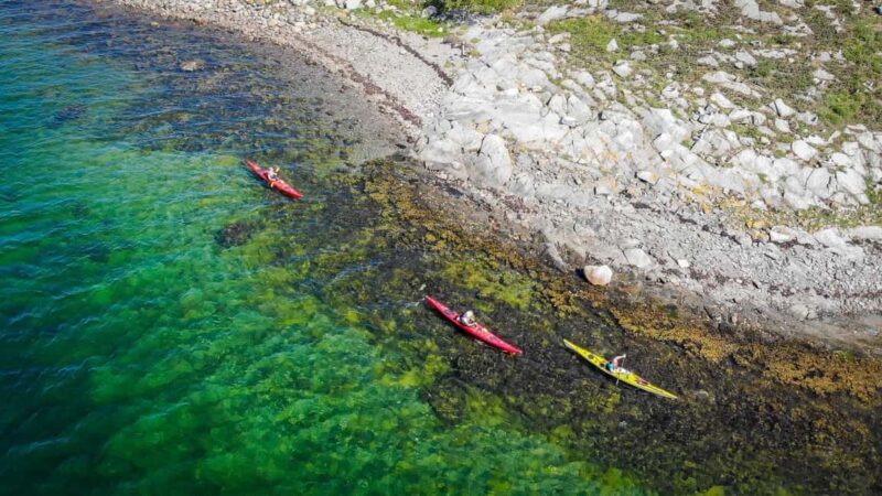 West Sweden: Paddle with seals - Final thoughts