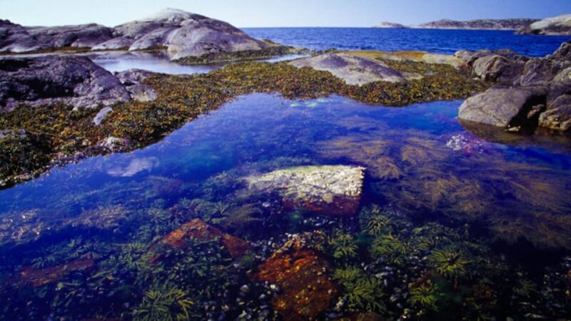 West Sweden: Self Guided Kayak Tour - Southern Route - West Sweden: Self Guided Kayak Tour - Southern Route