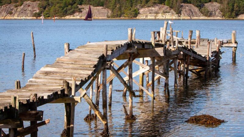 West Sweden: Today's Catch Sea Kayak Tour - Who Is This Tour Best For?