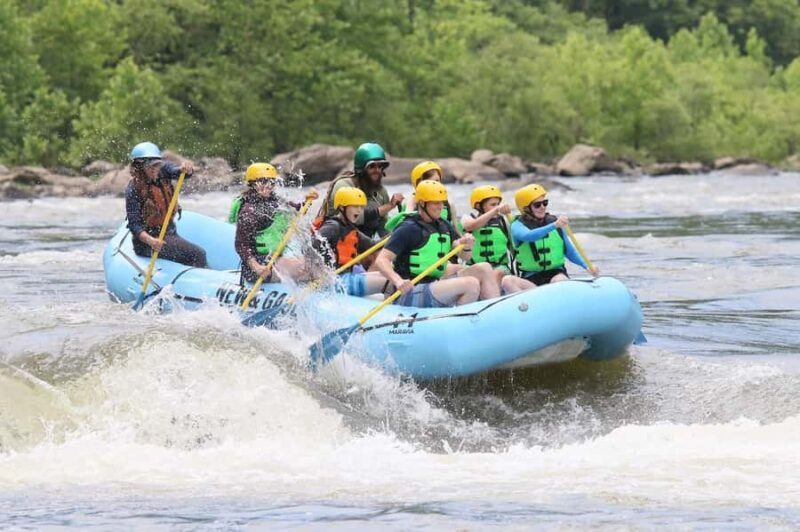 West Virginia: Lower New River Full-Day Rafting Adventure - Who Should Consider This Tour?