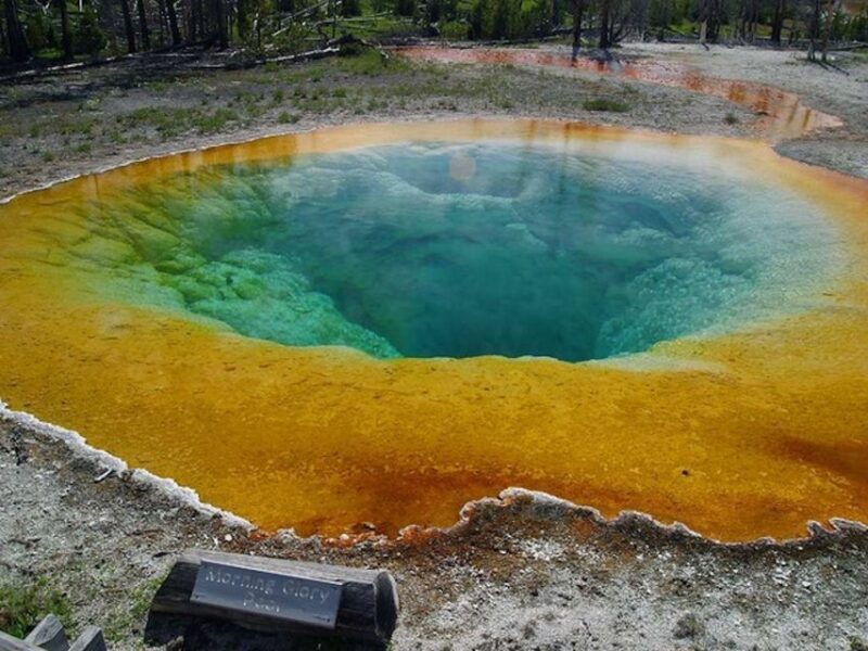 West Yellowstone: Yellowstone Day Tour Including Entry Fee - FAQ
