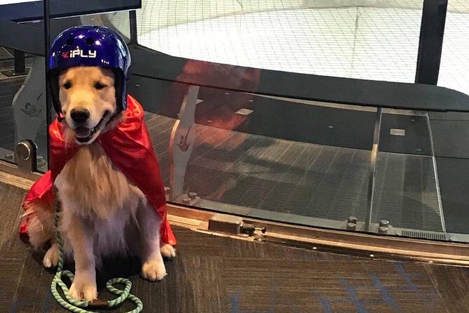 Westchester Indoor Skydiving Admission with 2 Flights & Personalized Certificate - FAQ