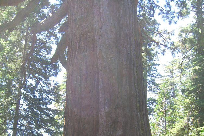 Western National Parks 7 Day Explorer Lodging - What Real Travelers Say