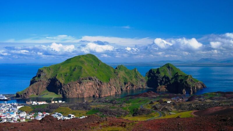 Westman Islands Day Tour from Reykjavik - The Value of This Experience