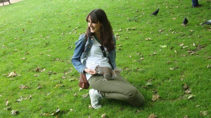 Westminster and National Gallery 3.5-Hour Tour in Italian - Authentic Traveler Insights