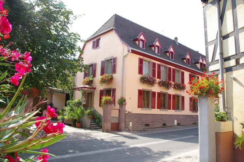 Wettolsheim: Organic Wine Tasting and Cellar Visit - A Detailed Look at the Experience