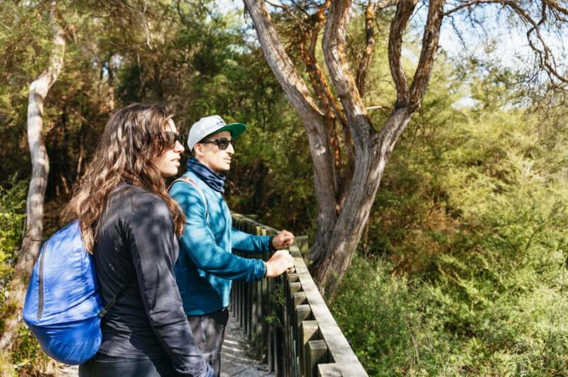 Whakarewarewa: Self-Guided Geothermal Trails - Exploring the Whakarewarewa Geothermal Trails