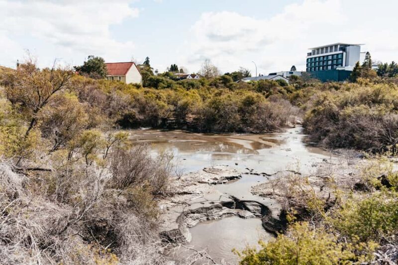 Whakarewarewa: Self-Guided Geothermal Trails - User Experiences and Feedback